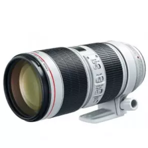 Объектив Canon EF 70-200mm f/2.8L IS III USM