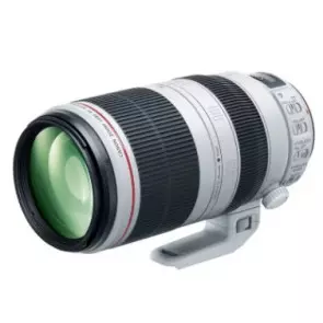 Объектив Canon EF 100-400mm f/4.5-5.6L IS II USM